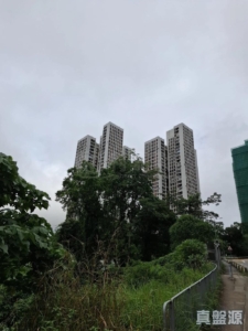 穗禾苑 豐逸閣 (B座) - 28NTS – 香港北部都會區
