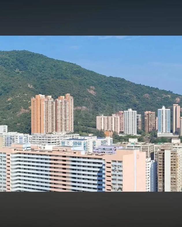 穗禾苑 豐逸閣 (B座) - 28NTS – 香港北部都會區