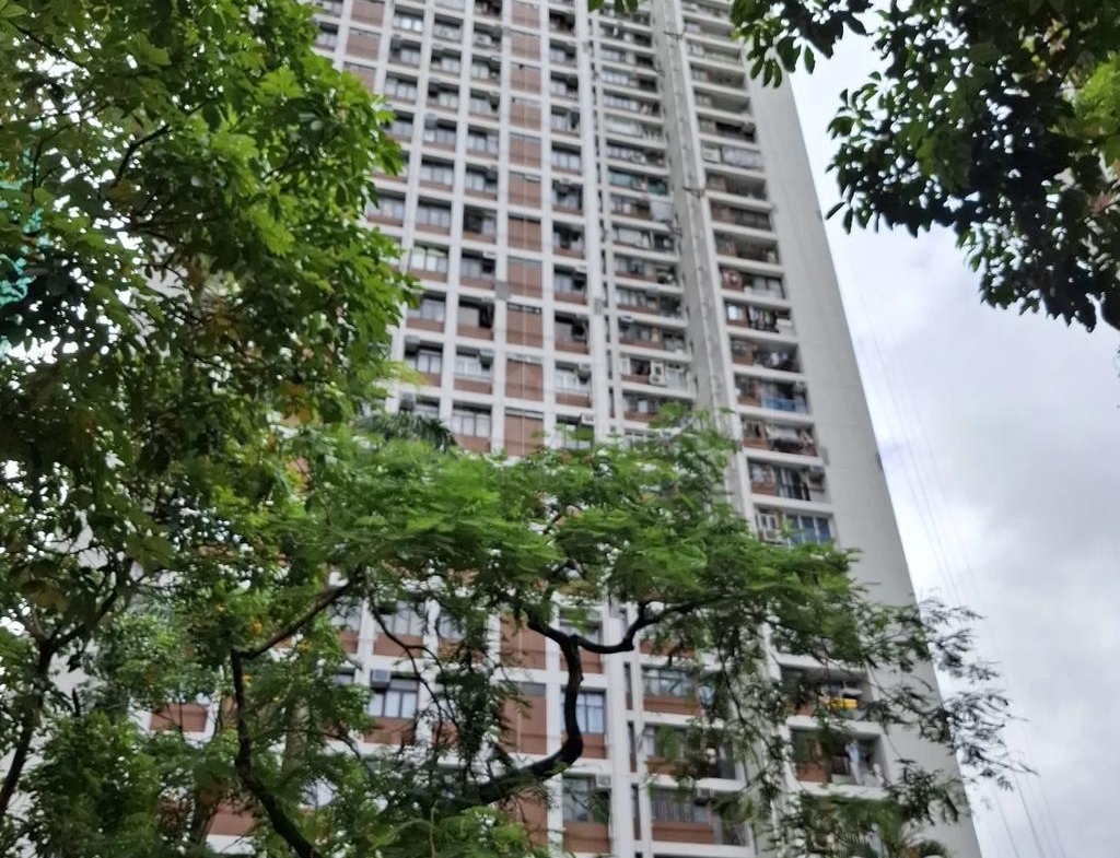 穗禾苑 豐逸閣 (B座) - 28NTS – 香港北部都會區