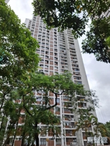 穗禾苑 豐逸閣 (B座) - 28NTS – 香港北部都會區