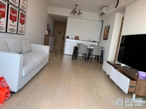 滿名山 滿庭 2座 - 28NTS – 香港北部都會區