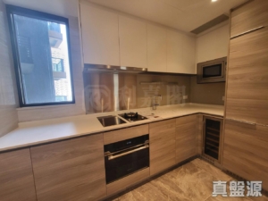 明翹匯 2座 - 28NTS – 香港北部都會區