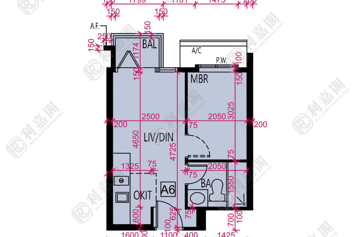 1790089871180522_2000_ricacorp.png