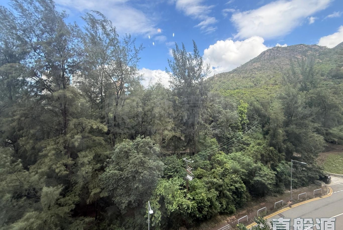 滿名山 滿庭 1座 - 28NTS – 香港北部都會區