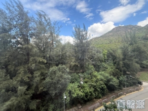 滿名山 滿庭 1座 - 28NTS – 香港北部都會區