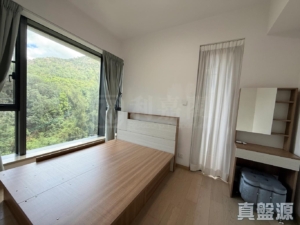 滿名山 滿庭 1座 - 28NTS – 香港北部都會區