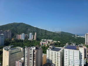 星凱．堤岸 1座 - 28NTS – 香港北部都會區