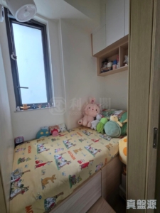 星凱．堤岸 1座 - 28NTS – 香港北部都會區
