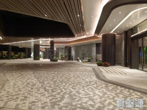 SILICON HILL 1期 翠景閣 第6座 - 28NTS – 香港北部都會區