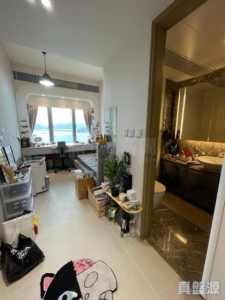 星漣海 2A座 - 28NTS – 香港北部都會區
