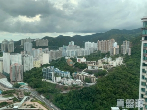 駿景園 1期 3座 - 28NTS – 香港北部都會區