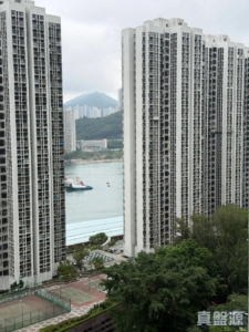 麗城花園 2期 8座 - 28NTS – 香港北部都會區