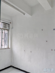 泰華大廈 - 28NTS – 香港北部都會區
