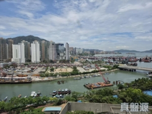 新屯門中心 8座 - 28NTS – 香港北部都會區