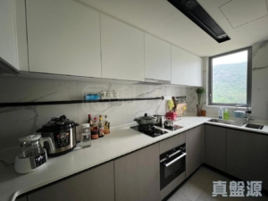 NOVO LAND 2B期 Arreso 1A座 - 28NTS – 香港北部都會區