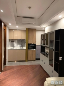 緹岸 1期 1A座 - 28NTS – 香港北部都會區