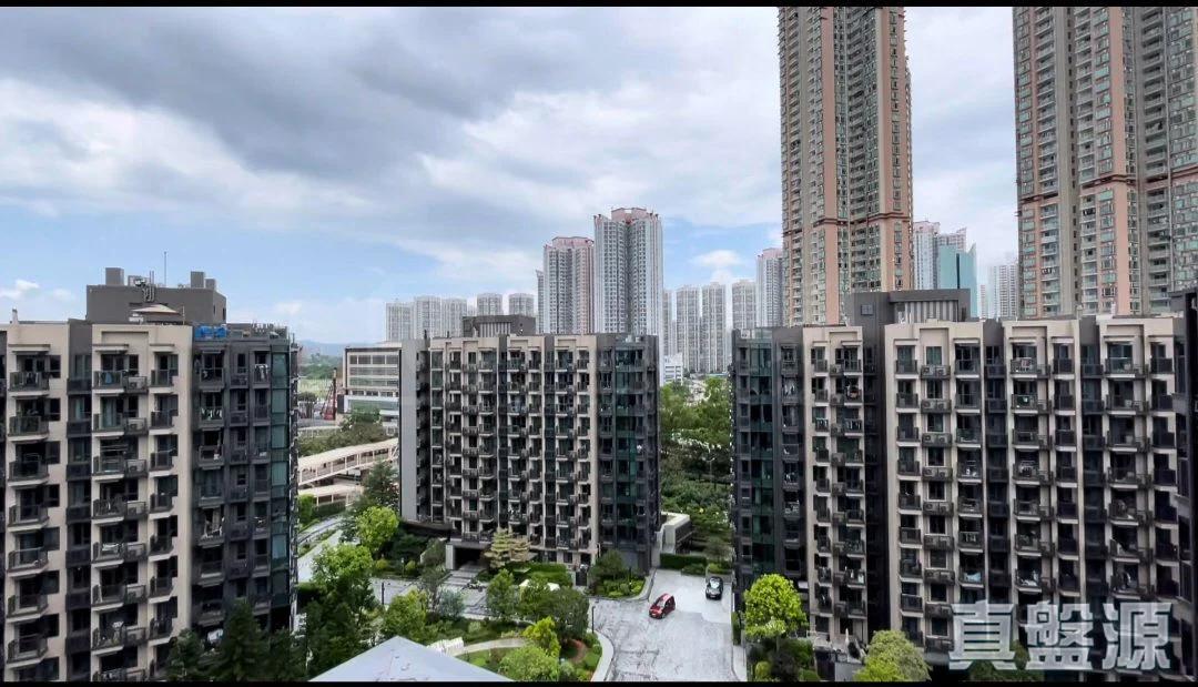 WETLAND SEASONS PARK 3期 1座 - 28NTS – 香港北部都會區