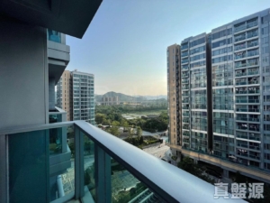 峻巒 2A期 PARK YOHO GENOVA 16A座 - 28NTS – 香港北部都會區