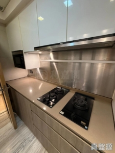 峻巒 2A期 PARK YOHO GENOVA 16A座 - 28NTS – 香港北部都會區