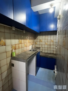 好順意大廈 B座 - 28NTS – 香港北部都會區