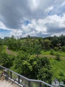 WETLAND SEASONS PARK 1期 別墅8 - 28NTS – 香港北部都會區