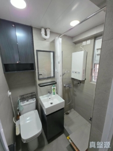 兆康苑 兆樂閣 (P座) - 28NTS – 香港北部都會區