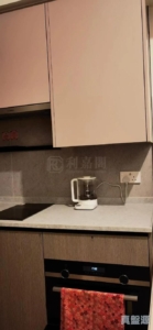 NOVO LAND 3B期 Fiskars 2A座 - 28NTS – 香港北部都會區
