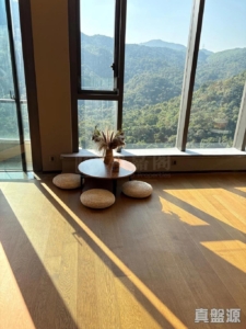 玖瓏山 傲瓏閣 第1座 - 28NTS – 香港北部都會區