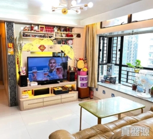 新元朗中心 5座 - 28NTS – 香港北部都會區