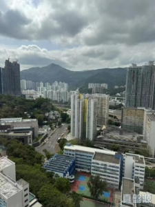 豐盛苑 榮盛閣 (A座) - 28NTS – 香港北部都會區