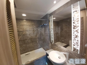 星漣海 3A座 - 28NTS – 香港北部都會區