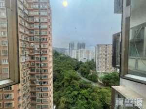 金獅花園 1期 金豐閣 (F座) - 28NTS – 香港北部都會區