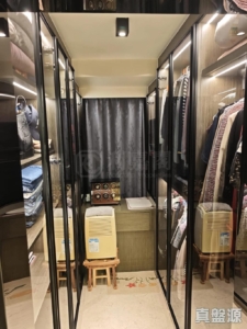 顯峯 - 28NTS – 香港北部都會區
