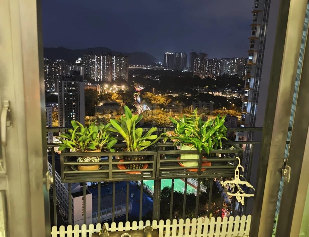 顯峯 - 28NTS – 香港北部都會區