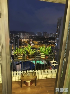 顯峯 - 28NTS – 香港北部都會區