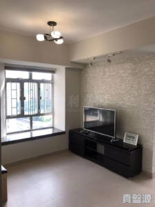 新港城 3期 P座 - 28NTS – 香港北部都會區