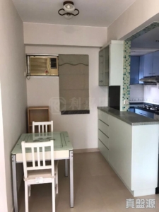 新港城 3期 P座 - 28NTS – 香港北部都會區