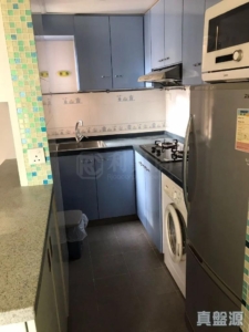 新港城 3期 P座 - 28NTS – 香港北部都會區