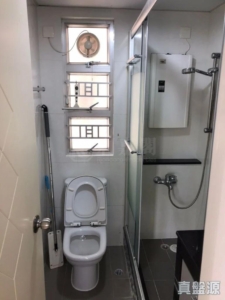 新港城 3期 P座 - 28NTS – 香港北部都會區