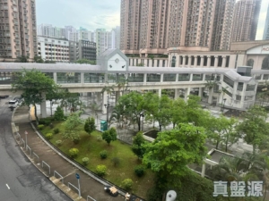 新港城 1期 B座 - 28NTS – 香港北部都會區