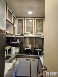 新港城 1期 B座 - 28NTS – 香港北部都會區