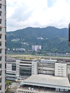 駿景園 2期 10座 - 28NTS – 香港北部都會區