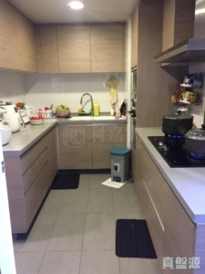 聚龍居 2座 - 28NTS – 香港北部都會區