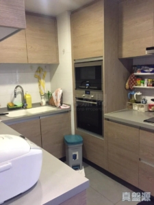 聚龍居 2座 - 28NTS – 香港北部都會區