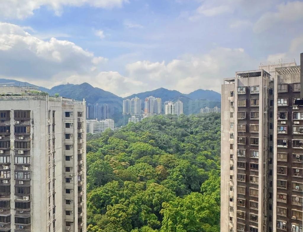 富豪花園 麗人閣 (N座) - 28NTS – 香港北部都會區