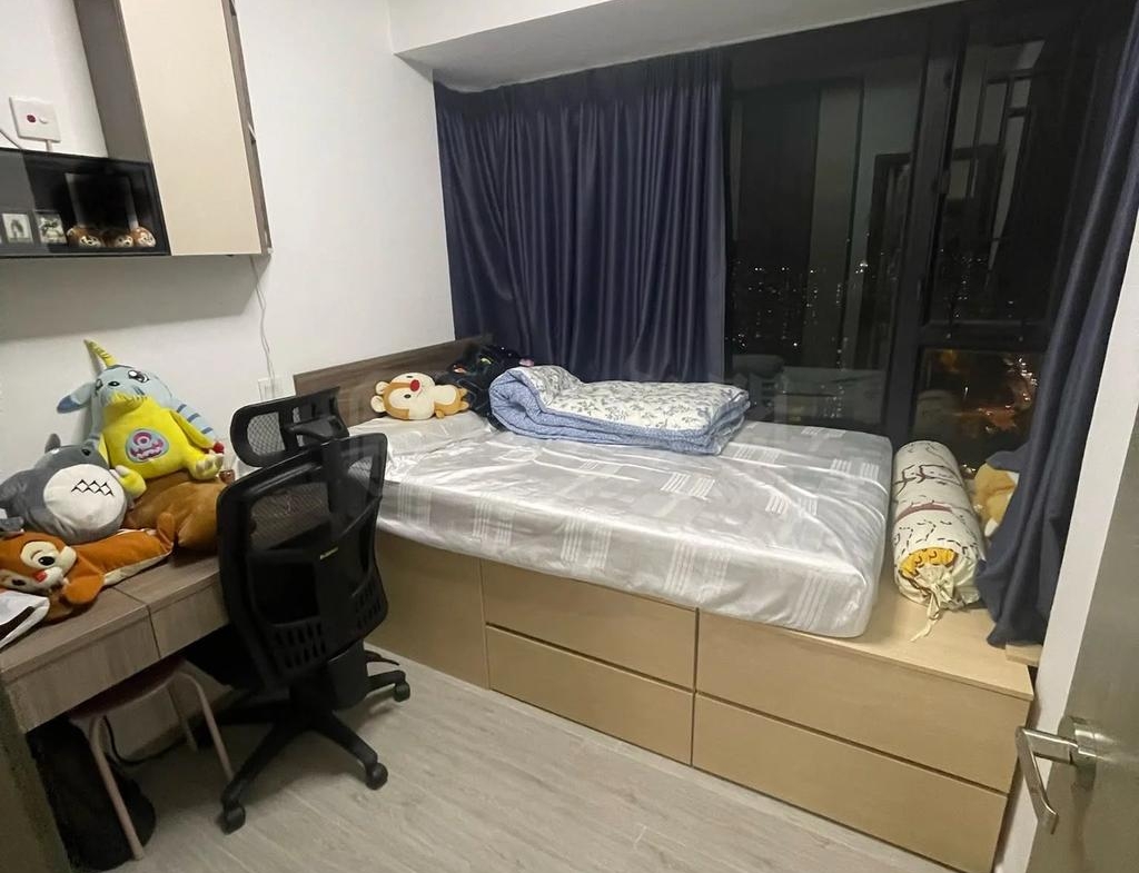 顯峯 - 28NTS – 香港北部都會區