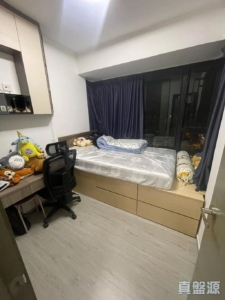 顯峯 - 28NTS – 香港北部都會區
