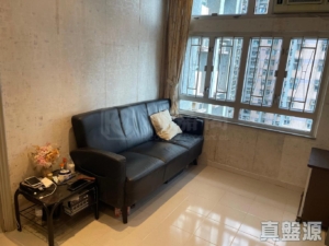 錦龍苑 龍昇閣 (D座) - 28NTS – 香港北部都會區