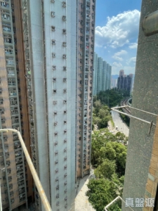 錦龍苑 龍昇閣 (D座) - 28NTS – 香港北部都會區