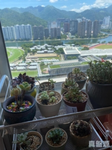 銀禧花園 6座 - 28NTS – 香港北部都會區